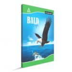 Buy Classmate Long Note Book Single Line Pack of 3
